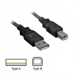 Cable USB para Impresoras 10 Pies / 3mts